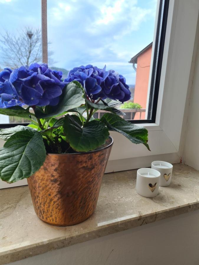 Ferienwohnung Rosenberg Oberemmel 外观 照片